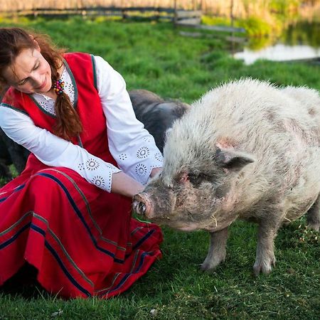 Ferienwohnung Tierstiftung Eulalia Babieta Exterior foto