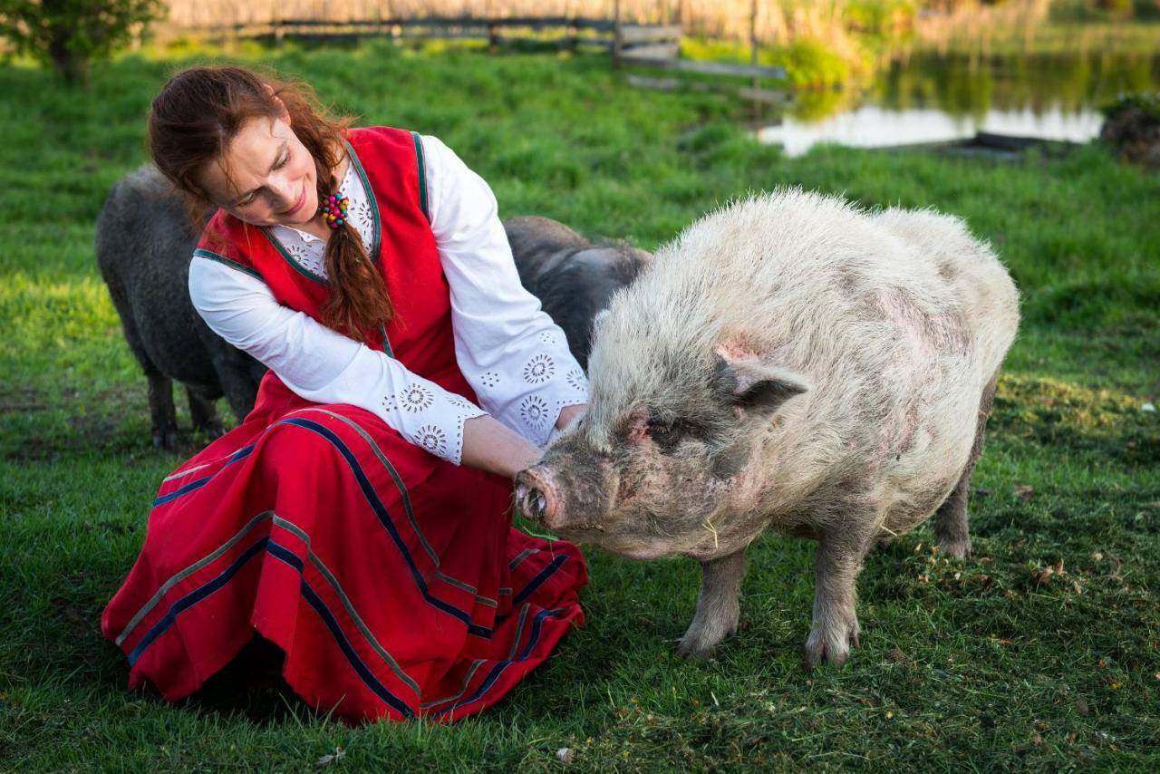 Ferienwohnung Tierstiftung Eulalia Babieta Exterior foto